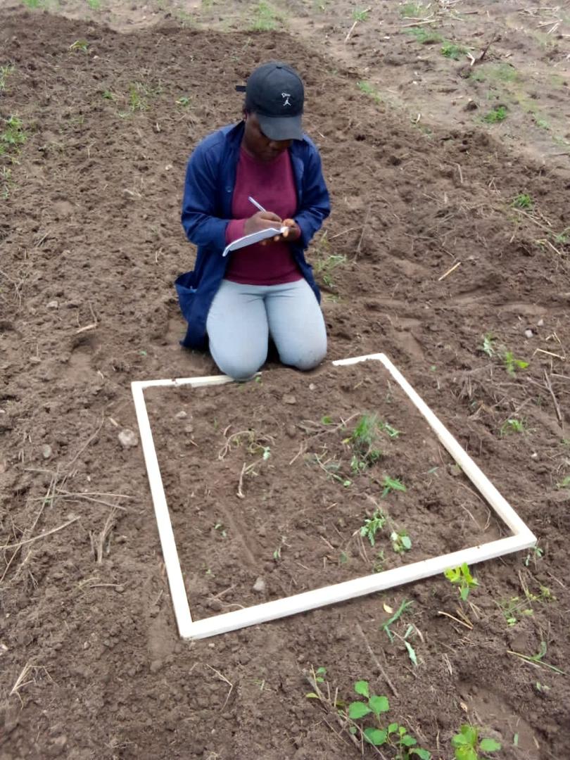 Custom-built irrigation system for a 10-acre farm, designed for water efficiency.